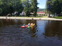 IMG_20190703_125410.jpg