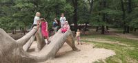 IMG_20230929_145342.jpg