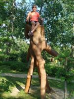IMG-20210711-WA0003~1.jpg