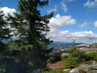 IMG-20210711-WA0006~1.jpg