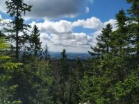 IMG-20210711-WA0010~1.jpg