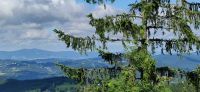 IMG_20210706_101530~1.jpg